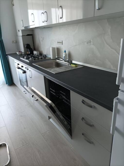 Rebreanu Residence Lux Apartmen Temeşvar Dış mekan fotoğraf
